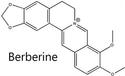 Pre-clinical Evidence: Berberine as a Promising Cardioprotective Candidate for Myocardial Ischemia/Reperfusion Injury, a Systematic Review, and Meta-Analysis